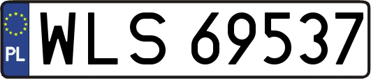 WLS69537