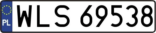 WLS69538