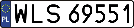 WLS69551