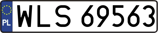 WLS69563
