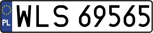 WLS69565