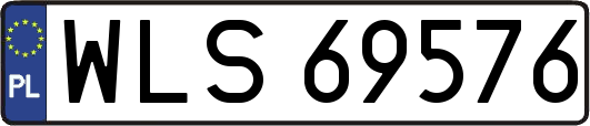 WLS69576