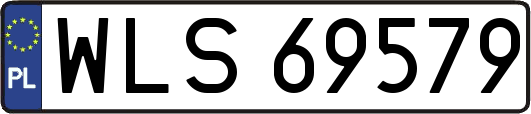WLS69579