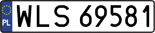 WLS69581
