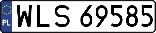 WLS69585