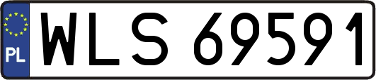 WLS69591