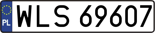 WLS69607