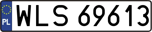 WLS69613