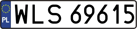 WLS69615