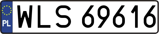 WLS69616