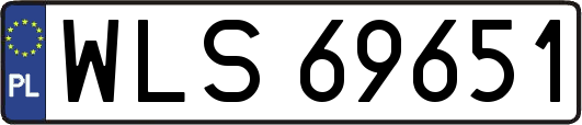 WLS69651