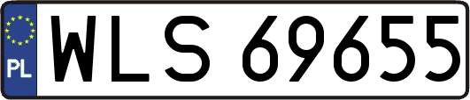 WLS69655