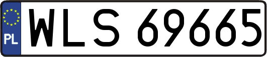 WLS69665