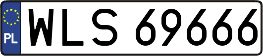 WLS69666