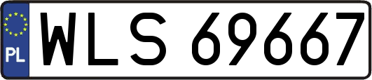 WLS69667