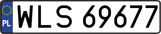 WLS69677