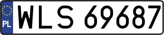 WLS69687