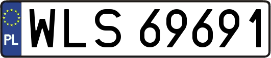 WLS69691