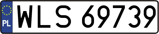 WLS69739