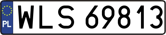WLS69813