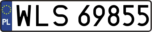 WLS69855