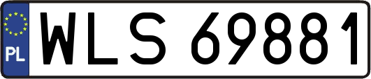 WLS69881