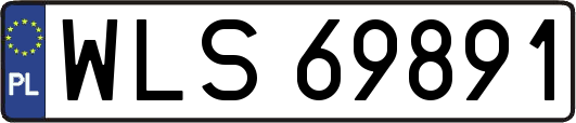 WLS69891