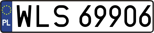 WLS69906