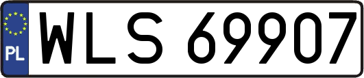 WLS69907