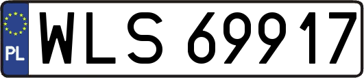 WLS69917