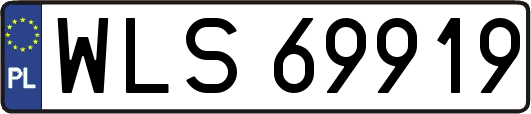 WLS69919