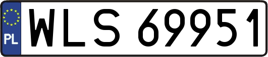 WLS69951