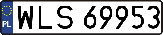 WLS69953