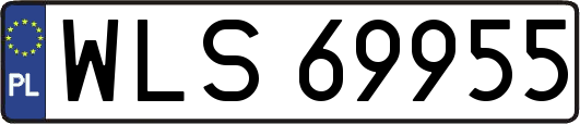 WLS69955