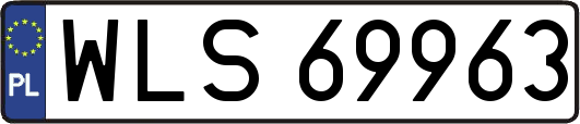 WLS69963