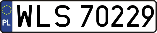 WLS70229