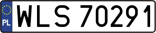 WLS70291