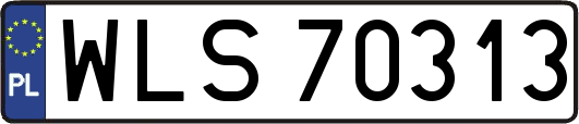 WLS70313