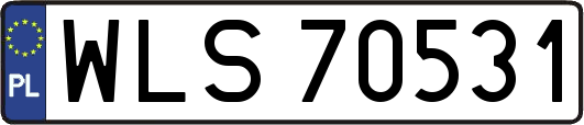 WLS70531