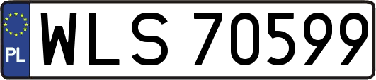 WLS70599