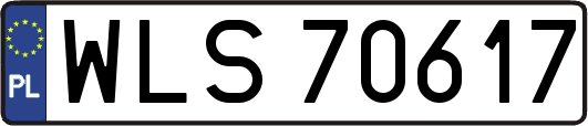 WLS70617