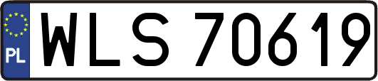 WLS70619