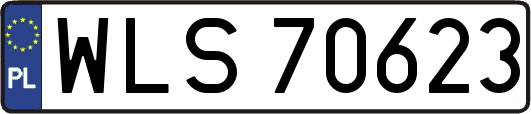 WLS70623