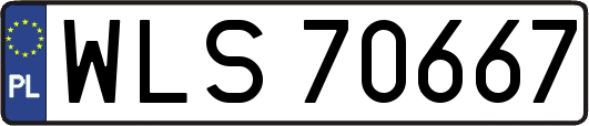 WLS70667