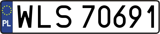WLS70691