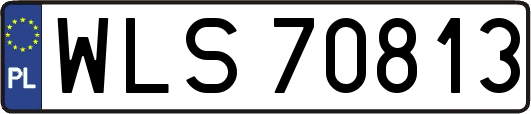 WLS70813