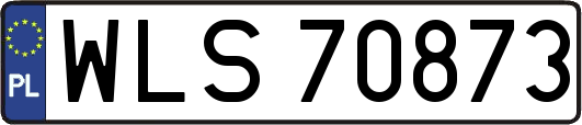 WLS70873