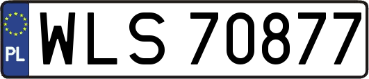 WLS70877