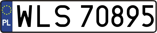 WLS70895