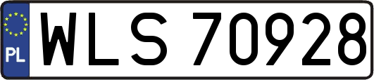 WLS70928